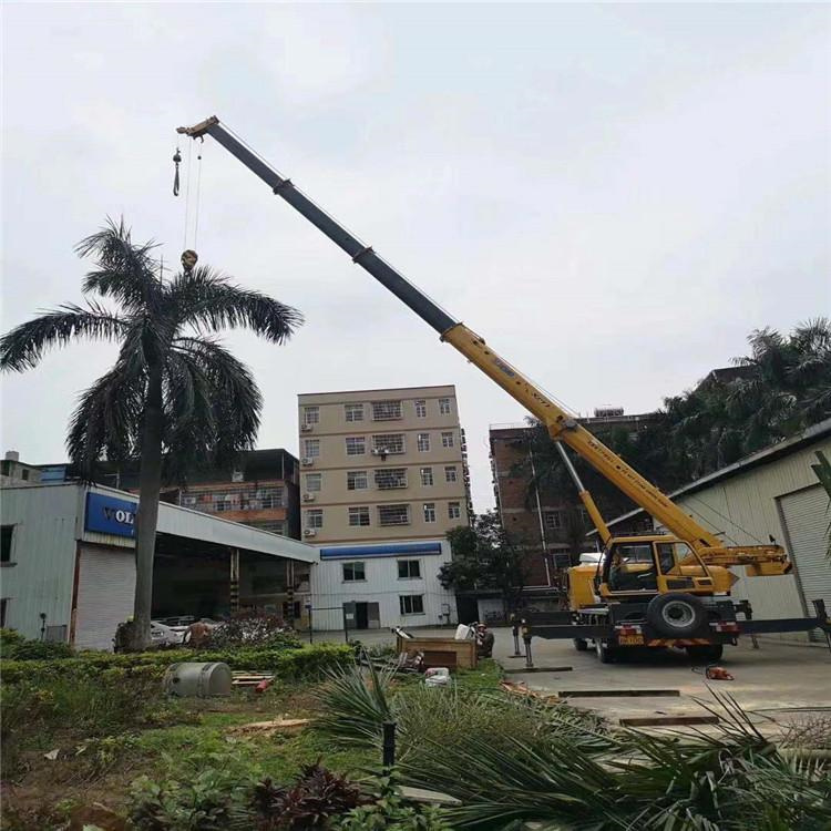 延津汽车吊出租多少钱？全面解析与市场行情